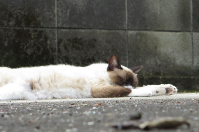20170704_002.jpg
