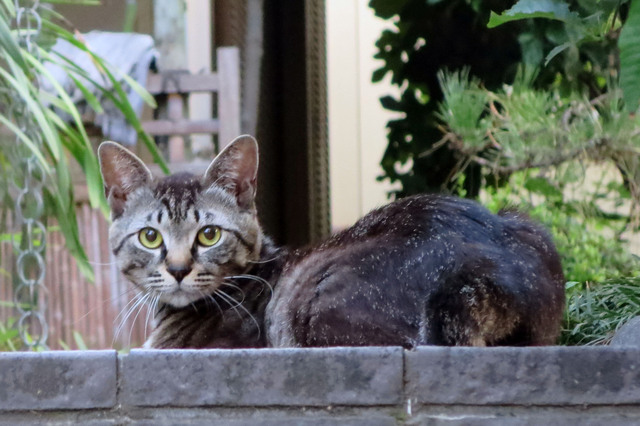 20170708_003.jpg
