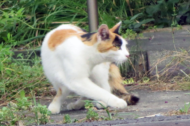 20170720_002.jpg