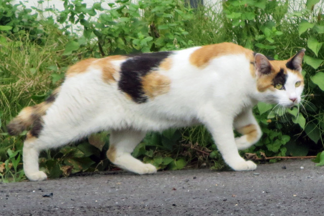 20170720_003.jpg