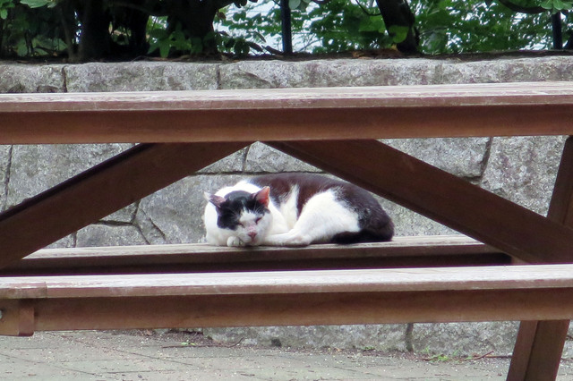 20170727_001.jpg