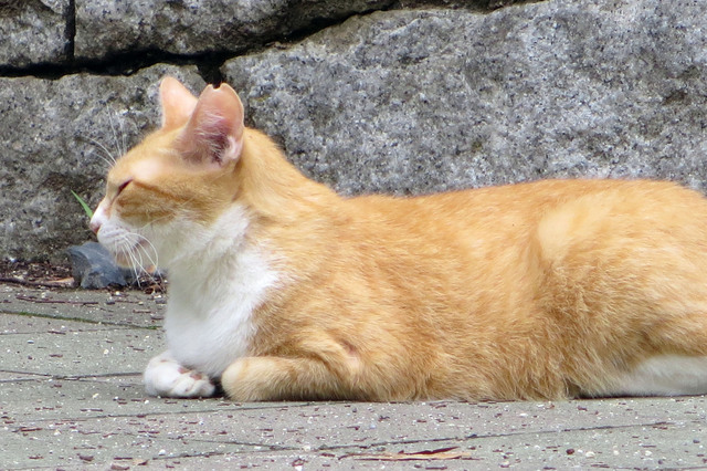 20170727_003.jpg