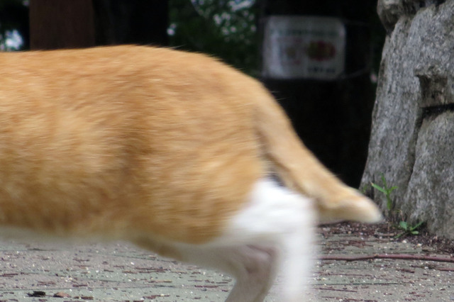 20170727_005.jpg