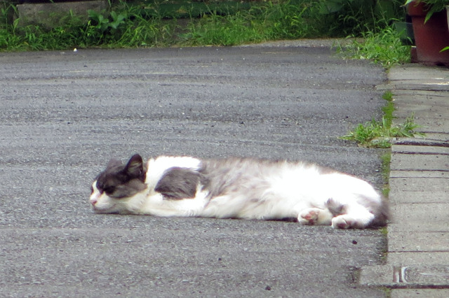 20170820_001.jpg
