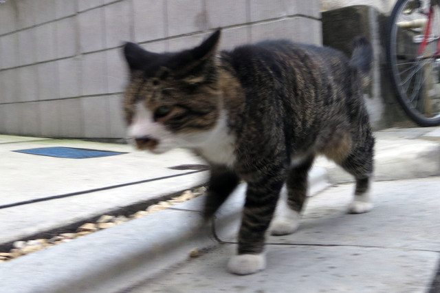 20170916_001.jpg