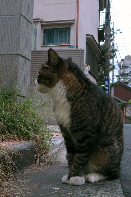 20170916_003.jpg