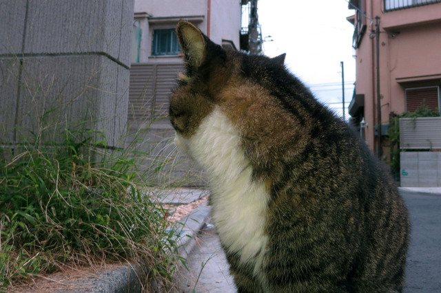 20170916_004.jpg