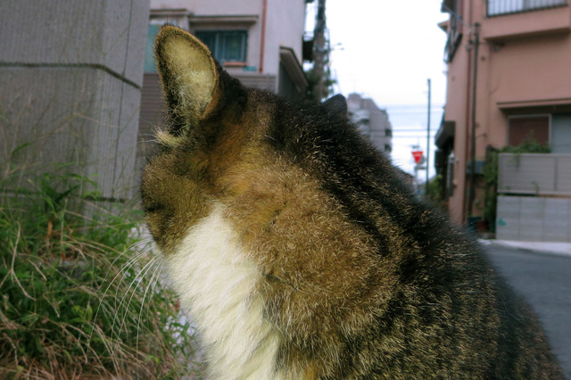 20170916_005.jpg