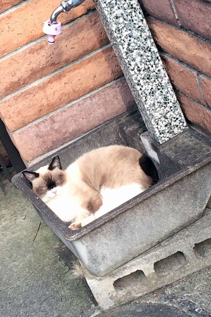 20170919_003.jpg