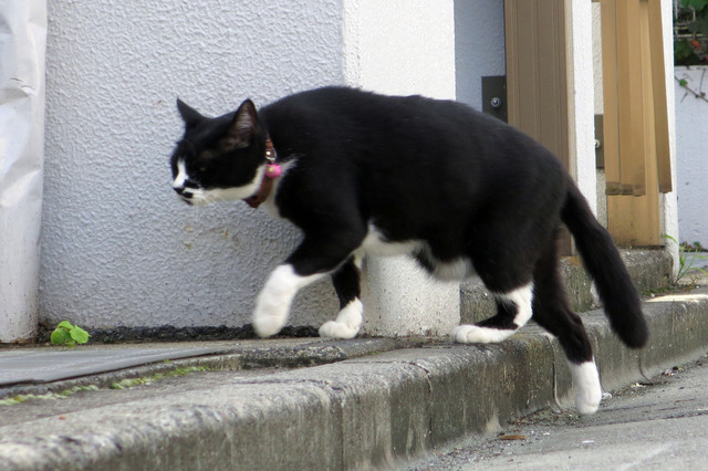 20170921_001.jpg