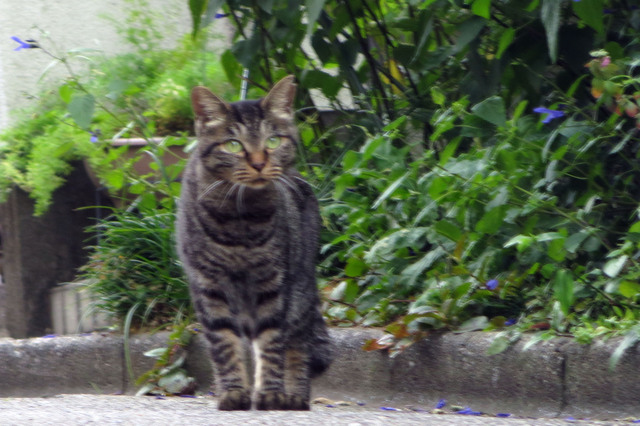 20170922_003.jpg