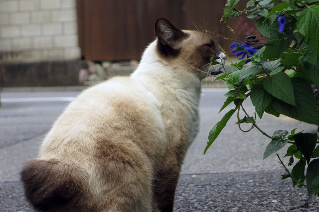20171002_001.jpg