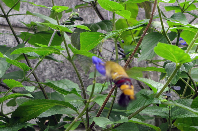 20171002_012.jpg