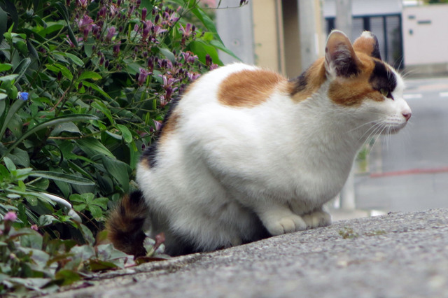 20171004_002.jpg