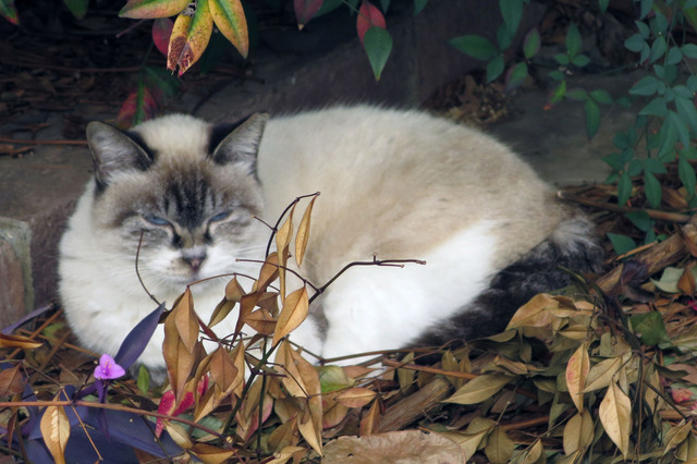 20171113_003.jpg