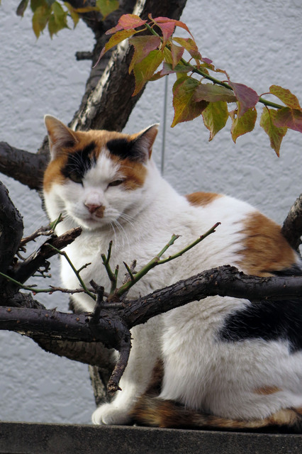 20171213_003.jpg