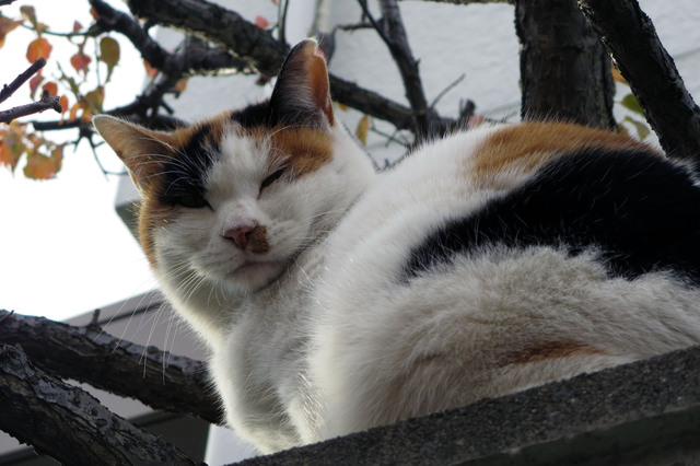 20171213_004.jpg