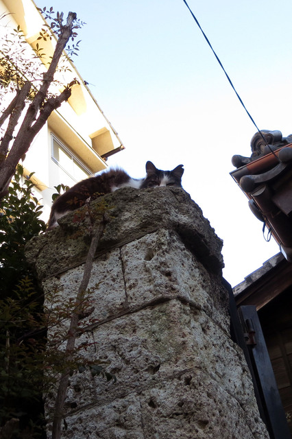 20171225_006.jpg