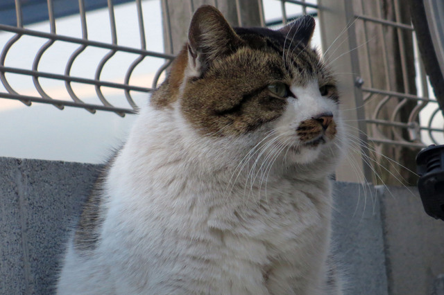 20180107_006.jpg