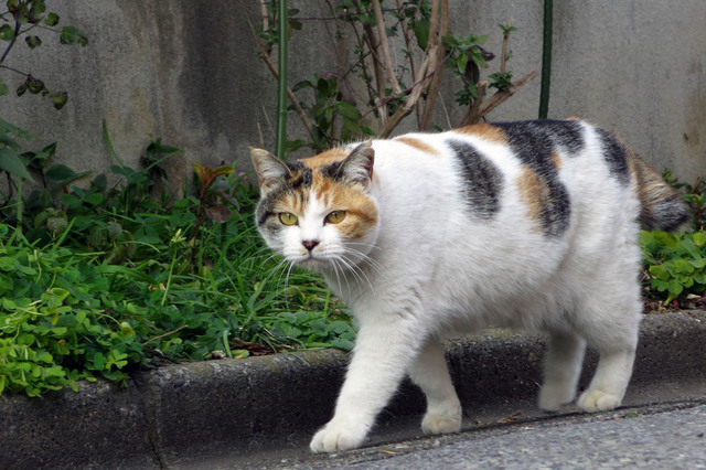 20180119_002.jpg