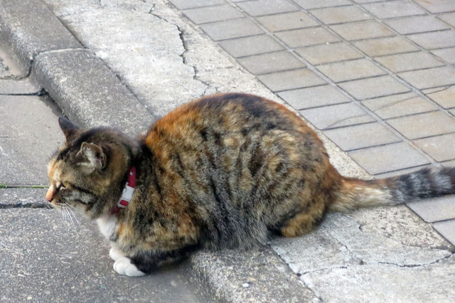 20180310_001.jpg