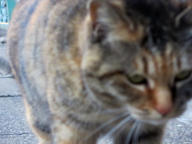 20180310_002.jpg