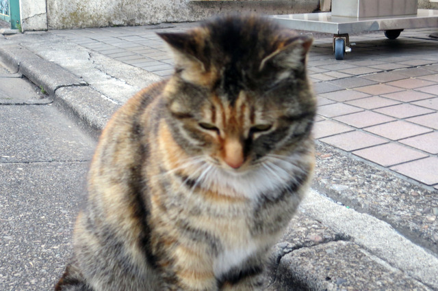 20180310_003.jpg