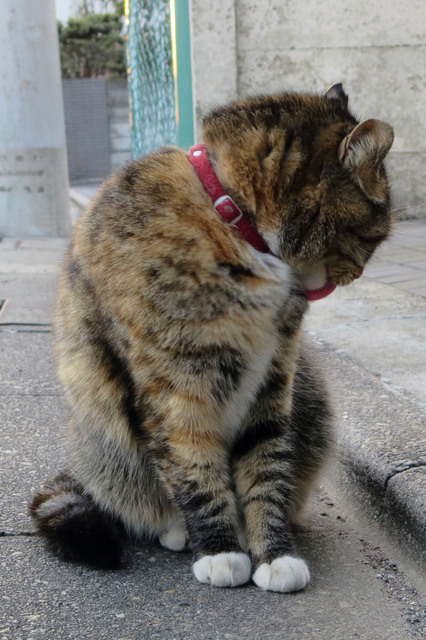20180310_005.jpg