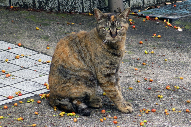 20180425_006.jpg