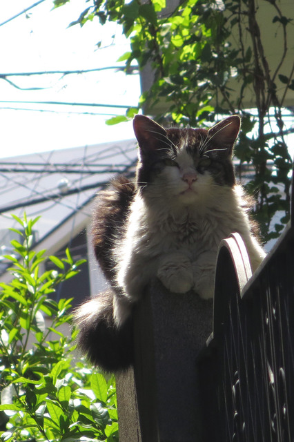 20180426_004.jpg