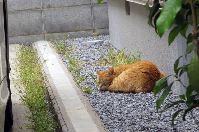 20180502_002.jpg