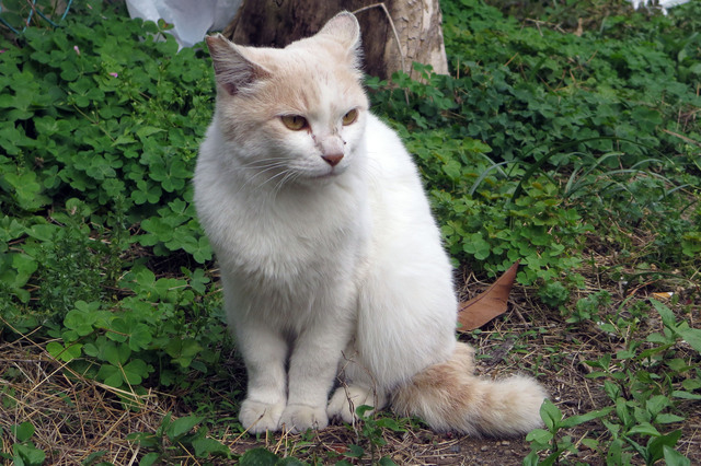 20180506_001.jpg