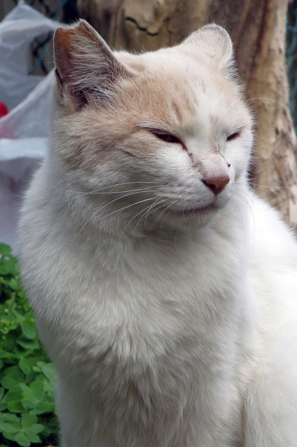 20180506_002.jpg