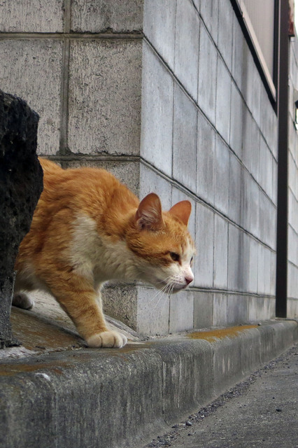 20180609_010.jpg