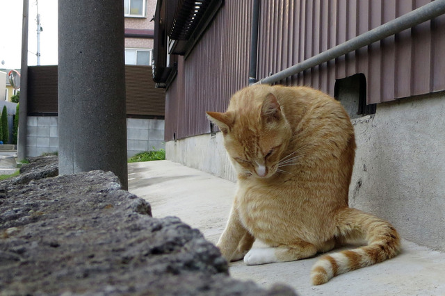20180609_014.jpg