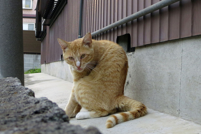 20180609_015.jpg