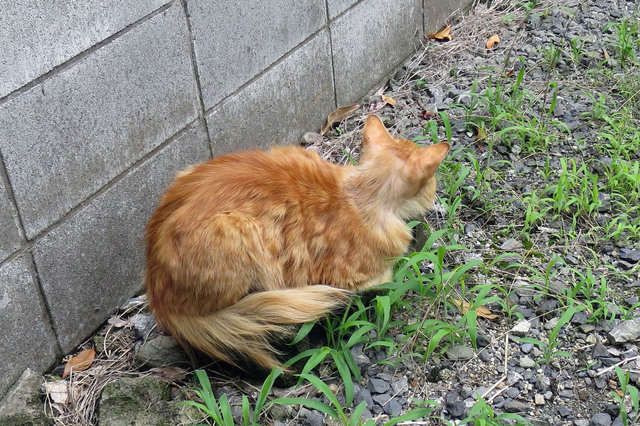 20180612_001.jpg