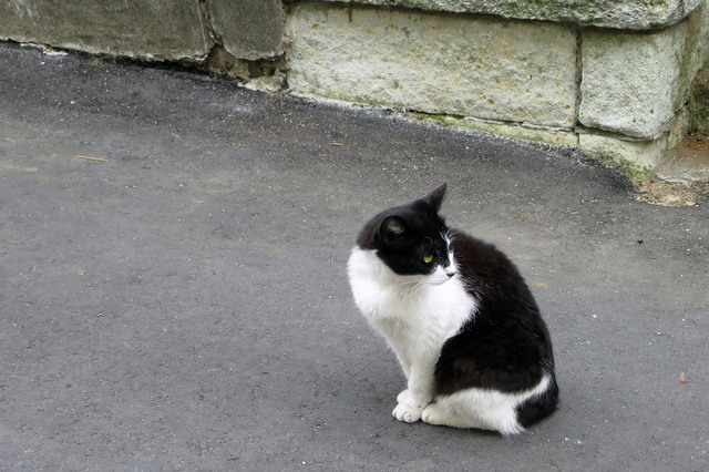 20180613_002.jpg