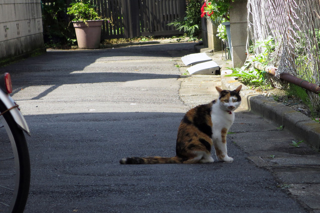 20180624_003.jpg