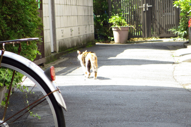 20180624_004.jpg