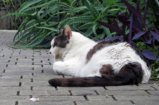 20180624_007.jpg