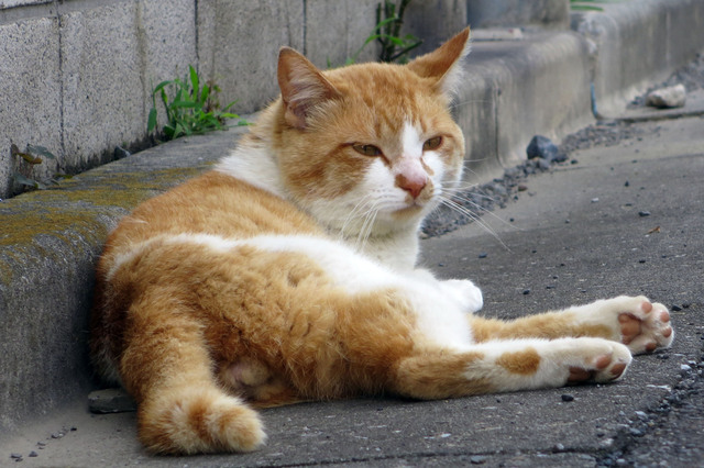 20180624_014.jpg