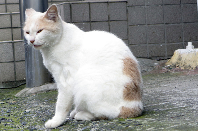 20180624_016.jpg