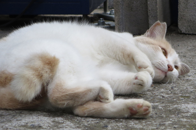 20180624_018.jpg