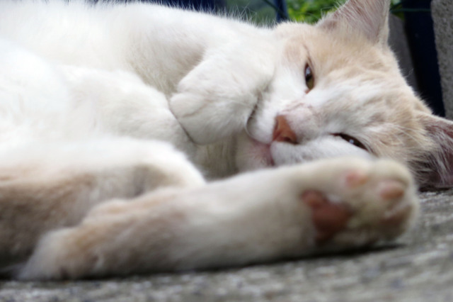 20180624_022.jpg