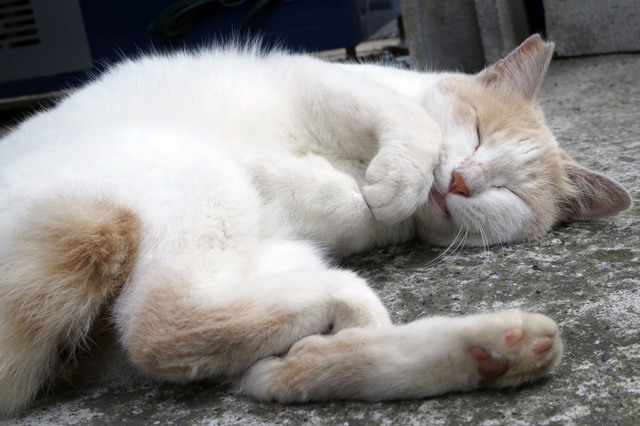 20180624_023.jpg