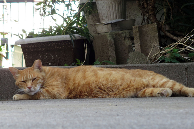20180710_002.jpg