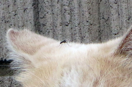 20180730_002.jpg
