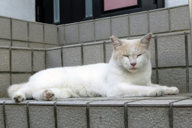 20180730_003.jpg
