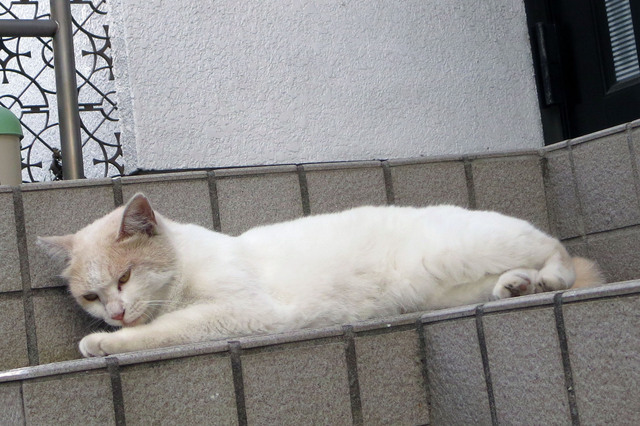 20180730_005.jpg